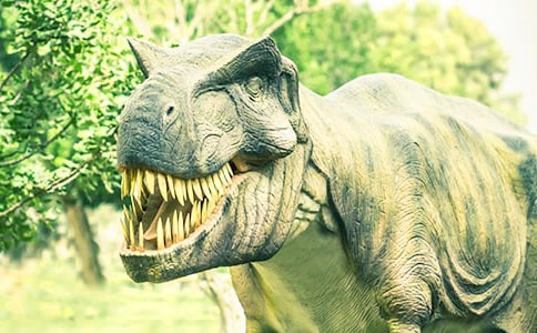 �P(gu��n)�ڿ������ąR��15ƪ