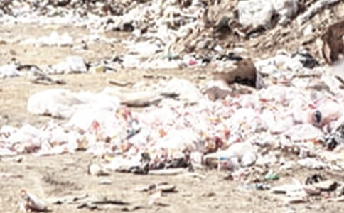 大班環(huán)保主題活動(dòng)方案有用的垃圾