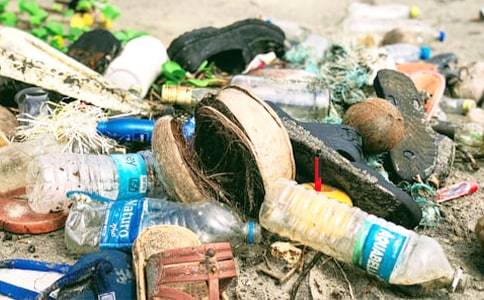 垃圾房的呻吟作文250字