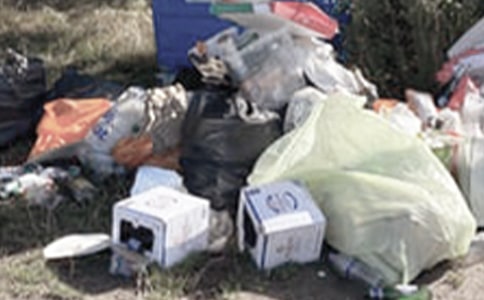 大班科學垃圾哪里去了教案