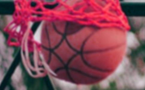 籃球比賽裁判宣誓詞