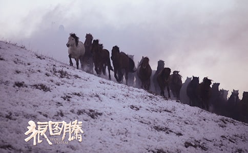 ���ǈD�v����x�ĵ�9ƪ