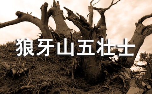 �x������ɽ���ʿ���иС����T��