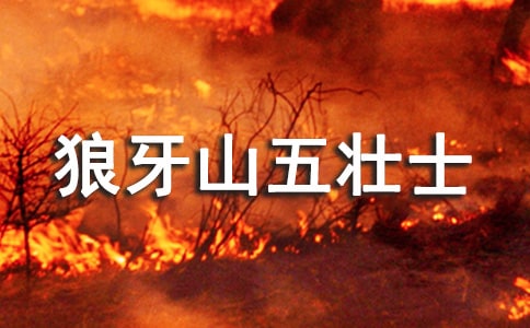 狼牙山五壯士讀后感(15篇)