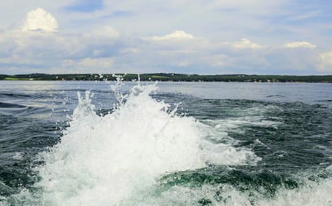 生活中的一朵浪花作文(集合)