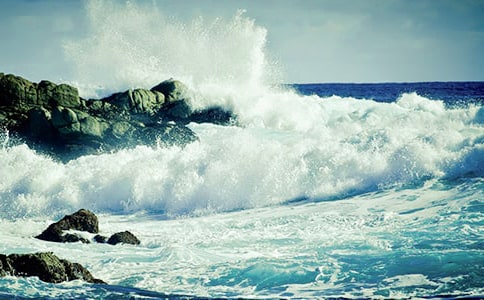 生活中的那朵浪花作文