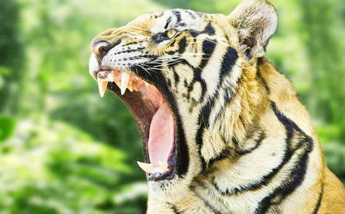 С�ϻ��v�Uӛ3����