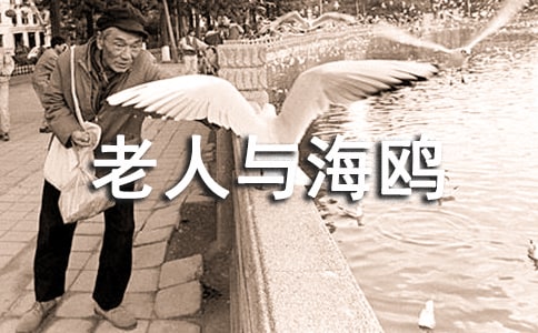 ���t����-�x�����c���t�и�