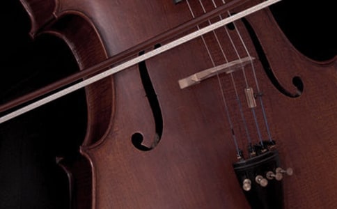 神奇的樂器作文