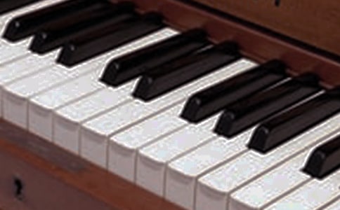 ����Ę�������300��