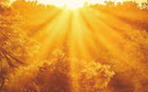 ���������������o������������