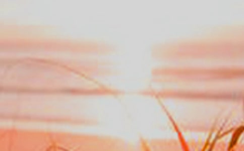 ��־�ɹ����ԣ��挦�������Ҳ���ãȻ