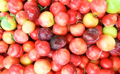 寫(xiě)李子柒的作文800字(精選15篇)