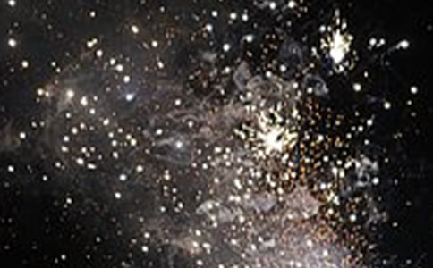 �_���Y���c��������