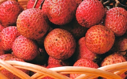 �茑��֦�ĺ��~�þ�öδ�ȫ��(y��u)������