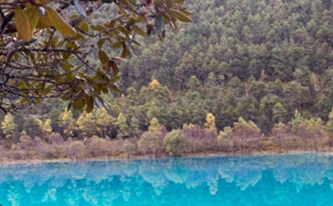 ����ӡ��