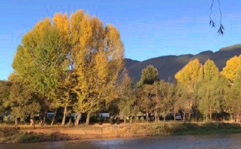 ������(d��o)���~12ƪ