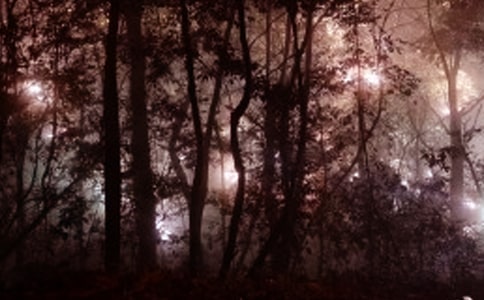 走在凌晨的影子散文