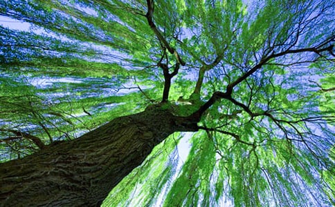 ���������ˡ��̰��f(shu��)�n��