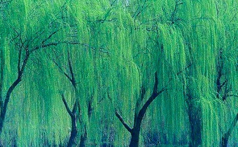 �����䡷������g(sh��)�̰�