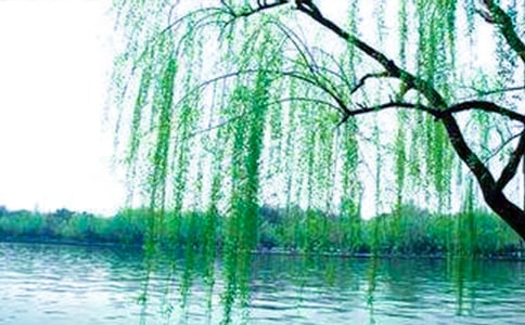 С��ƌW(xu��)�̰��J(r��n)�R����6ƪ