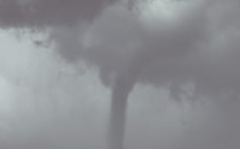 養(yǎng)個(gè)龍卷風(fēng)當(dāng)寵物_600字