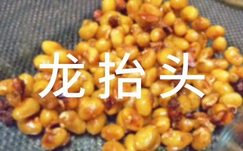 有關(guān)二月二龍?zhí)ь^的句子(精選200句)