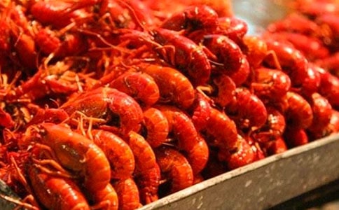 ����r����(�ϼ�2ƪ)