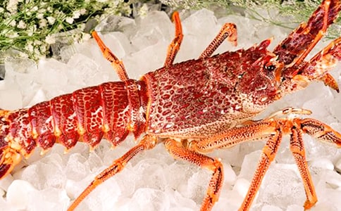 ����r��ӛ