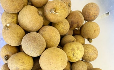 我愛龍眼作文600字