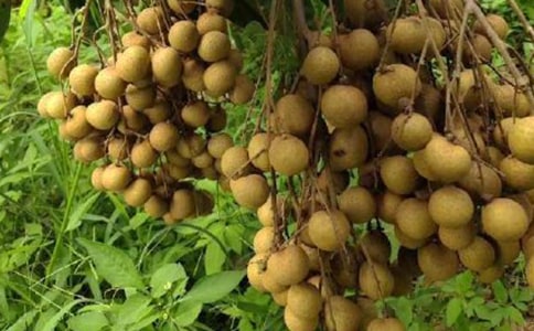 ��������300��