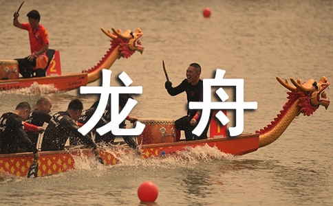 賽龍舟作文集合15篇
