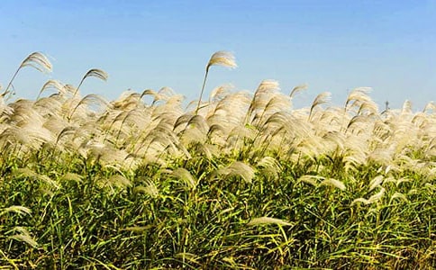 ���õ��JȔ?sh��)����?00��