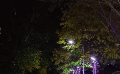 ·������̎����؟