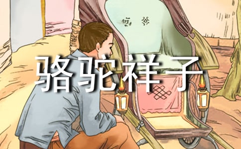 讀駱駝祥子有感匯編15篇