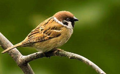 ���P(gu��n)��ȸ������600����ƪ