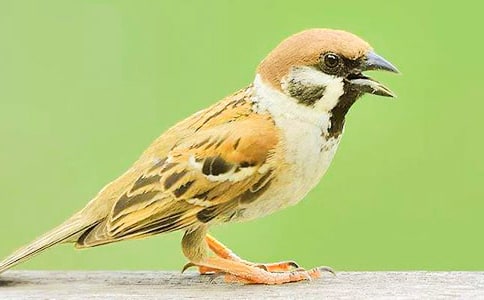 �P(gu��n)����ȸ����