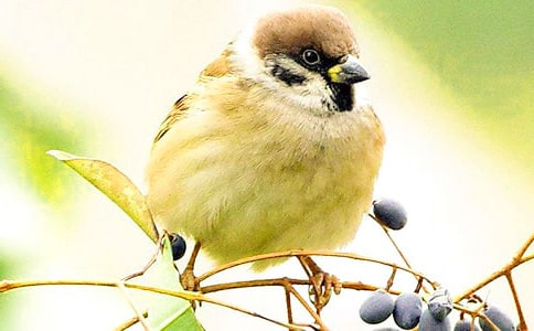 ���꼉С��ȸ�����\��5ƪ