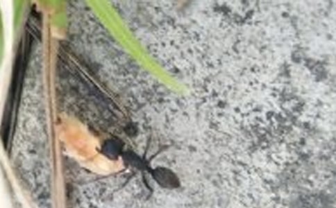 ͯȤ���e����������С���^�ϴ�픴��ñ�� ���_(k��i)�۾�������������ΛρҲ���ҵõ��� (��һ��)