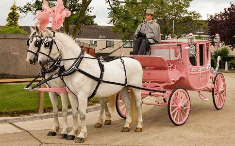 ��ʮ���Եڶ���Ԫ�]�f�R܇�������Ҹ衷�̰���˼