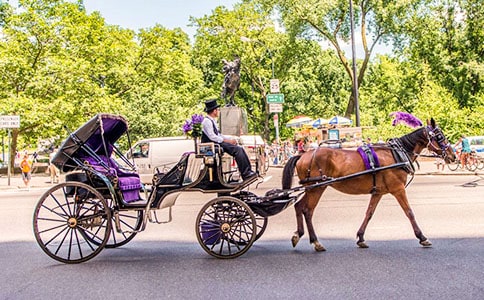 交大子弟剛開始坐馬車上學(xué) 西遷中竟有這新鮮事