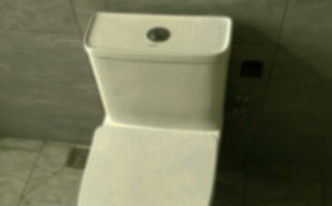 馬桶法和薔薇花