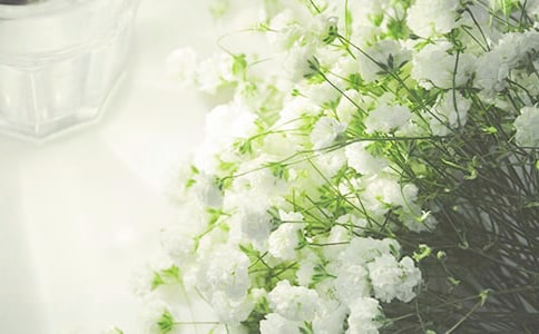 聚是一團火散是滿天星散文