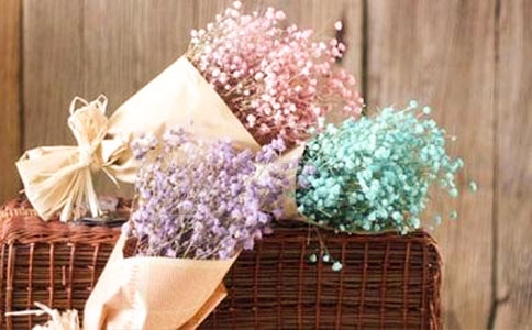 送你滿天星光作文