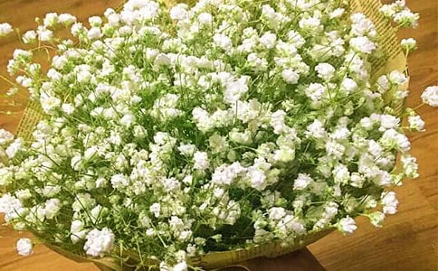 �茑(xi��)�M(m��n)�����ǵ�����