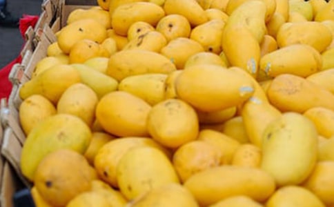 â������ӛ13ƪ