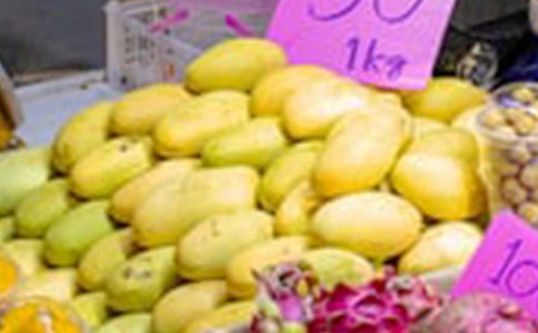 (優(yōu)選)芒果的作文