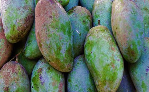 �۳�â����������