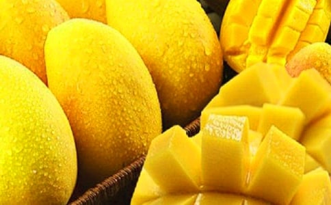 [��(y��u)�x]â����(sh��)������