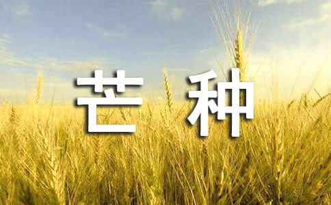 芒種寄語60句精選